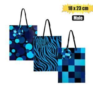 Gift-bag paper med 18x23cm every male