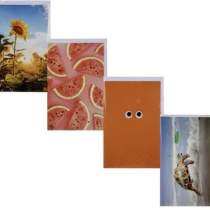 CARD & ENVELOPE BLANKS