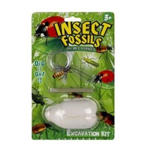 Edu excavation insect fossil kit assorted